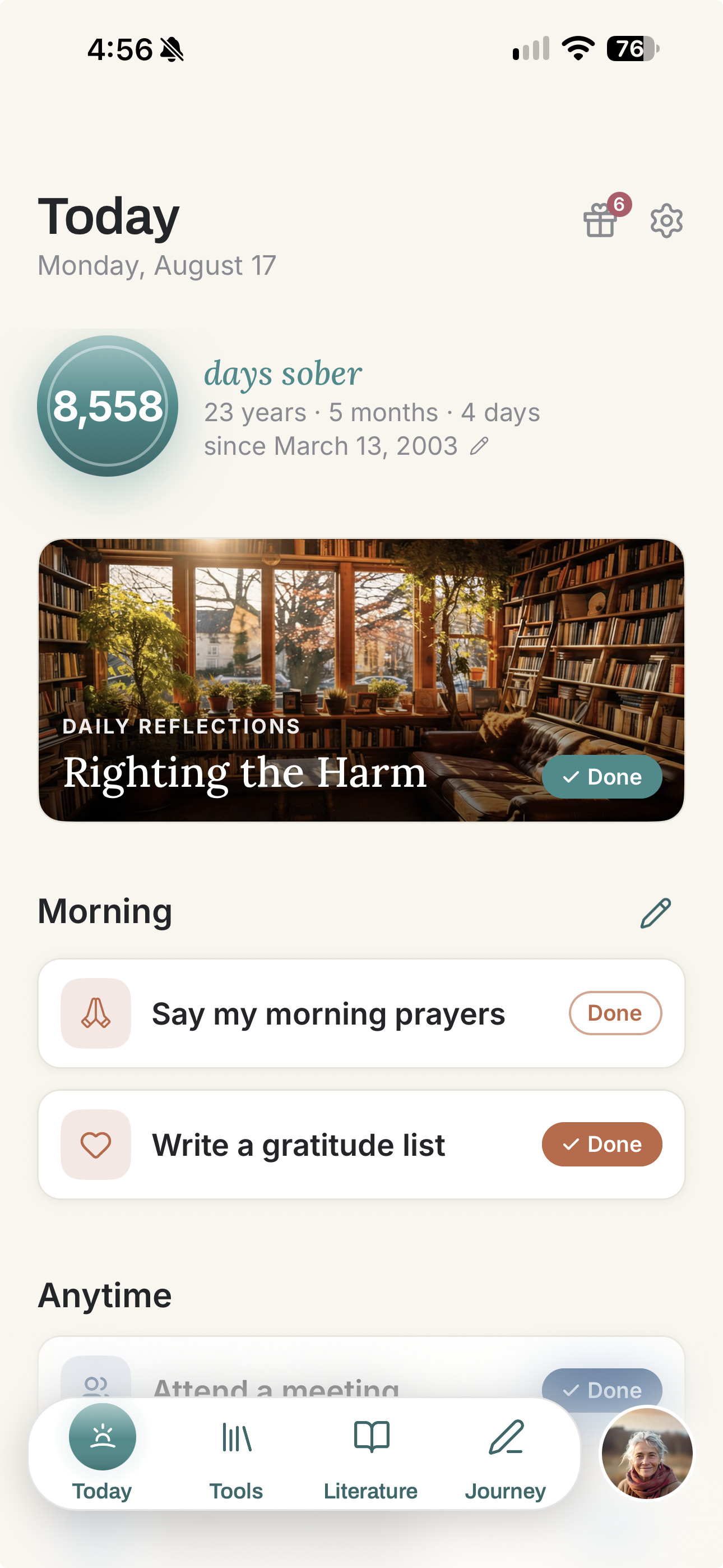 Sober Dailies app screenshot
